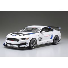 1/24 FORD MUSTANG GT4