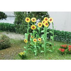 Tasma 00676 Sunflowers 16/pk