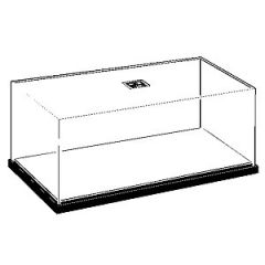 Display Case P for 1/20 modern F1