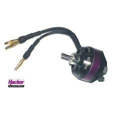 Hacker A10-12S UAV Motor