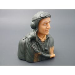 1/6 WWII German WWII prime paint pilots Painted Eyes with base coat need finishing