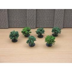 JORDAN NO 9 PACK OF 6 GREEN BUSHES