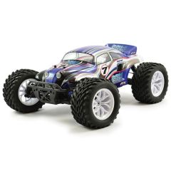FTX Bugsta 1/10 4WD Brushed Buggy