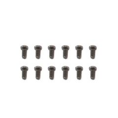 FTX IBEX WASHER HEAD SCREW2*4MM (12)