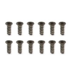 FTX IBEX COUNTERSUNK SELFTAPPING SCREWS 2X6MM (12)