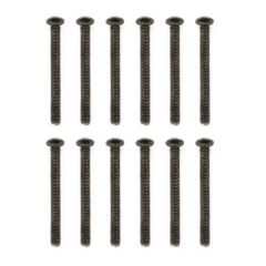 FTX FUTURA HEX PAN HEAD SCREW 3X30MM (12)