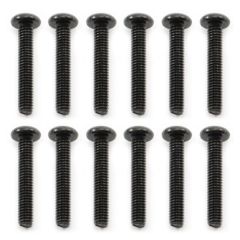 FTX FUTURA HEX PAN HEAD SCREW 4X23MM (12)