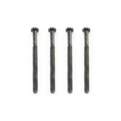 FTX OUTBACK ROUNDED HEAD SCREW M2*27 (4)