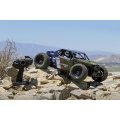 TEAM ASSOCIATED AE QUALIFIER SERIES NOMAD DB8 RTR 1/8TH EP BUGGY