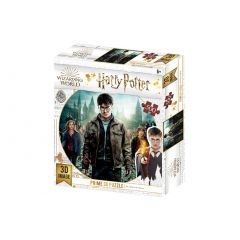 Harry Potter - Harry Potter Prime 3D Puzzles 500 Piece