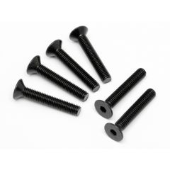 FLAT HEAD SCREW M5x30mm (HEX SOCKET/6pcs)