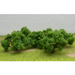 Fruit Grove Trees Lemon 2-2.25 Inch (6)