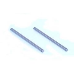 XXX Inner Rear Hinge Pins (2)