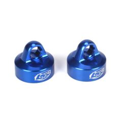 5ive-T/Mini WRC Blue Shock Caps (2)