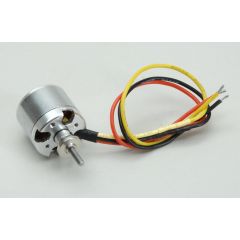 Brushless Motor - Arcus M