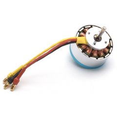 Brushless Motor - Seawind