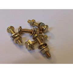 MFA M2 x 12 Brass Nut and Bolts