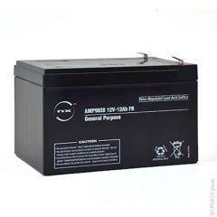 NX Sealed lead acid battery 12V 12Ah F6.35