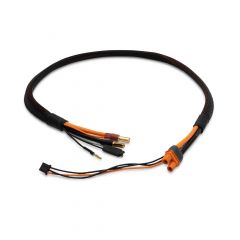 Proline Series Race 2s Charge Cable: IC3/5mm