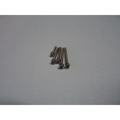 M2 x 10mm Pk 10 Allen/Socket Cap Screw Stainless Steel A2 (304) (Din912)