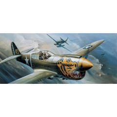 Academy PKAY12468 1671 1:72 Scale P-40E Warhawk