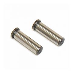 SAI120S38 - Tappet (2 pcs)