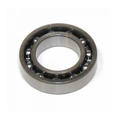 SAI300T21 - Main Ball Bearing