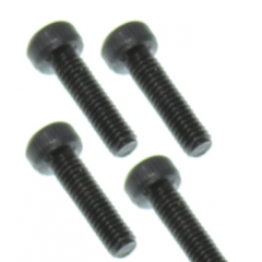 TS006 Screw for Sh.18 Engine Back Plate