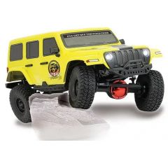 FTX OUTBACK FURY XC RTR 1:16 TRAIL CRAWLER - YELLOW