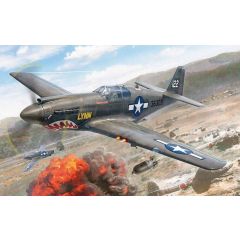 Italeri 1/72 P-51A Mustang 1423