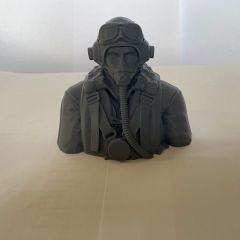 WWII 1/6 Scale Plot - Head and Shoulders