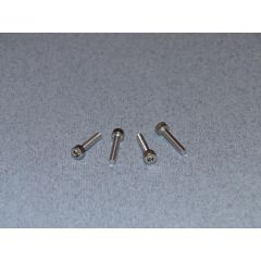 SS Socket Hd Screw M3 16mm Pk4