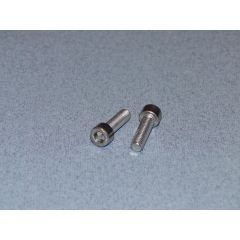 SS Socket Hd Screw M6 20mm Pk2