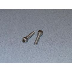 SS Socket Hd Screw M5 25mm Pk2