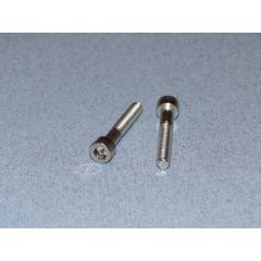 SS Socket Hd Screw M6 30mm Pk2