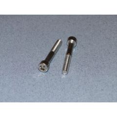 SS Socket Hd Screw M6 45mm Pk2