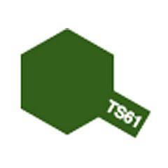 TS-61 NATO Green