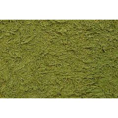 Texture Paint - Grass Green