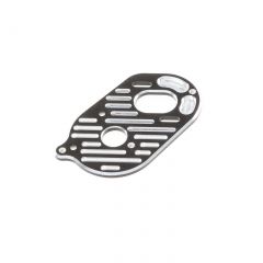 Motor Plate Spec: 22 3.0 SR