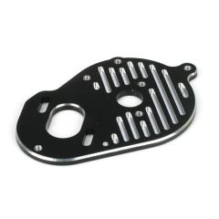 22 Motor Plate