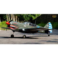 VQ Models - Curtiss P-40 (60-90 size - warbird category)