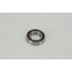 Bearing 30 x 17 x 8 Plastic Cage