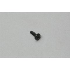 Throttle Stop Screw (10H)