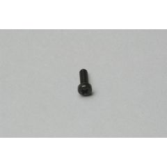 Throttle Stop Screw - (20H)