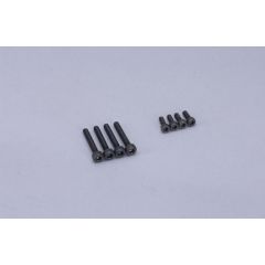 Screw Set 21VZ V-SPEC.21VZ-RV2