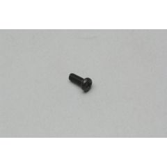 Throttle Stop Screw - (40D)