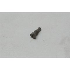 Throttle Stop Screw - (60B)