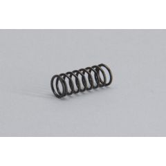 Valve Spring FT160