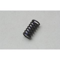 Valve Spring FS70S II