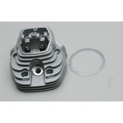 Cylinder Head - w/Valve FT300